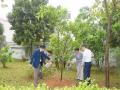 Trường Đại học Y tế công cộng hưởng ứng Tết trồng cây đời đời nhớ ơn Bác Hồ Xuân Giáp Thìn 2024